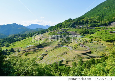 Maruyama Senjita 132076984