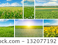 Agricultural Diversity: A Collection of Cultivated Fields and Natural Sceneries Description 132077192