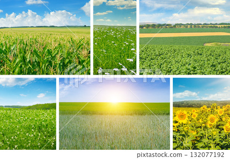 Agricultural Diversity: A Collection of Cultivated Fields and Natural Sceneries Description Agricultural Diversity: A Collection of Cultivated Fields and Natural Sceneries Description 132077192