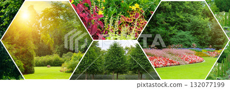 Vibrant Summer Nature Collection with Sunbeams and Ornamental Plants Vibrant Summer Nature Collection with Sunbeams and Ornamental Plants 132077199