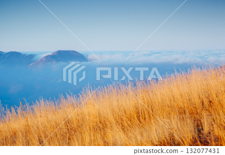 Picture of a scenic valley in morning light. Location Crimean peninsula. 132077431