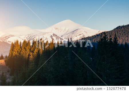 Scenic image of snowy peaks in the sunlight. Location Carpathian national park. Scenic image of snowy peaks in the sunlight. Location Carpathian national park. 132077478