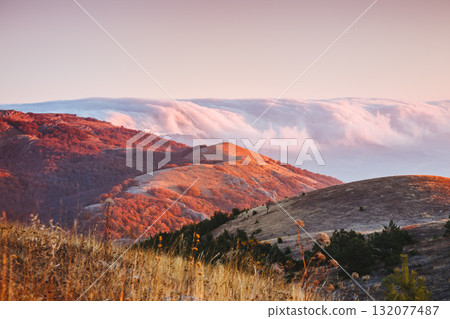 Picture of a scenic valley in morning light. Location Crimean peninsula. Picture of a scenic valley in morning light. Location Crimean peninsula. 132077487