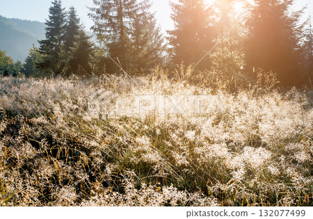 Scenic image of mountain landscape in the sunlight. Locations Carpathian national park, Ukraine. Scenic image of mountain landscape in the sunlight. Locations Carpathian national park, Ukraine. 132077499