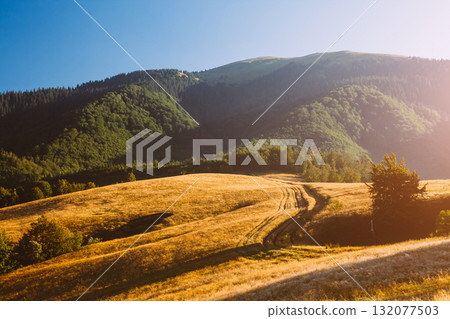 Scenic image of mountain landscape in the sunlight. Locations Carpathian national park, Ukraine. Scenic image of mountain landscape in the sunlight. Locations Carpathian national park, Ukraine. 132077503