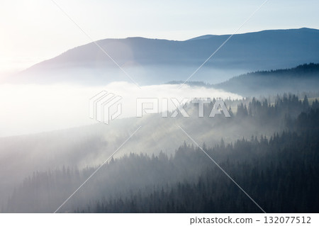 Scenic image of misty valley. Locations Carpathian national park, Ukraine. 132077512