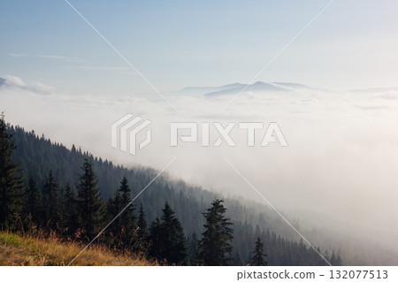 Scenic image of misty valley. Locations Carpathian national park, Ukraine. Scenic image of misty valley. Locations Carpathian national park, Ukraine. 132077513