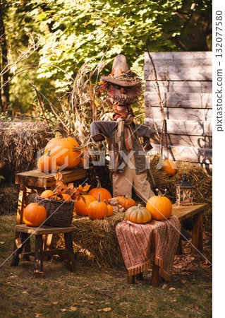 Autumn Harvest Scene with Scarecrow and Pumpkins 132077580