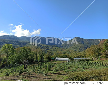 beautiful mountain landscape with garden. autumn time 132077659