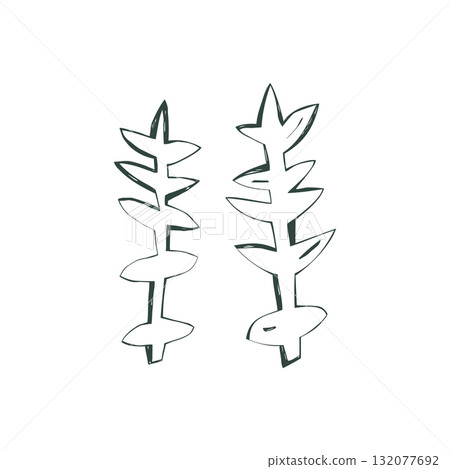 Minimal hand drawn plants with simple organic scandinavian design illustration 132077692