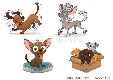 Set of funny cartoon dogs of different breeds, illustration of playful pets including dachshund, chinese crested, chihuahua and puppies in box 132078149