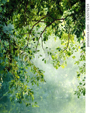 A dreamy, vertical composition capturing bright, sunlit green leaves and branches of a tree over still, reflective water, shrouded in a soft, ethereal mist. Perfect for themes of nature, tranquility A dreamy, vertical composition capturing bright, sunlit green leaves and branches of a tree over still, reflective water, shrouded in a soft, ethereal mist. Perfect for themes of nature, tranquility 132078254
