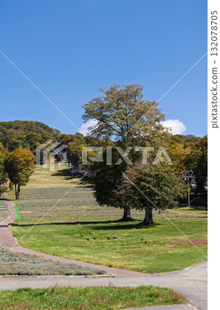 Tanbara Plateau in early autumn, Numata City, Gunma Prefecture 132078705