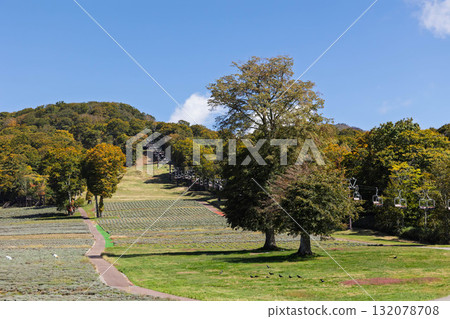 Tanbara Plateau in early autumn, Numata City, Gunma Prefecture 132078708