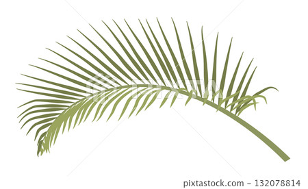palm branch for palm sunday palm branch for palm sunday 132078814