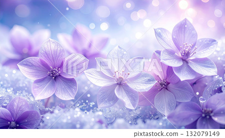 Close-up of purple flowers blooming on snow 132079149