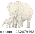 A mother and child forest elephant at Asa Zoo 132079492
