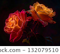 Neon-lit Rose Bloom with Glowing Petal Outlines on Dark Background 132079510