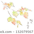 Autumn plants, watercolor illustration of cherry blossom leaves beginning to change color 132079567