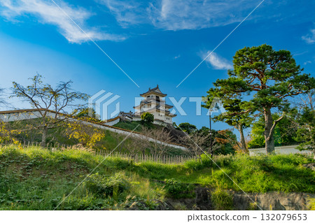 掛川城在藍天下閃耀 132079653