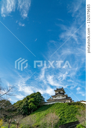 Kakegawa Castle's keep shining against the blue sky 132079685