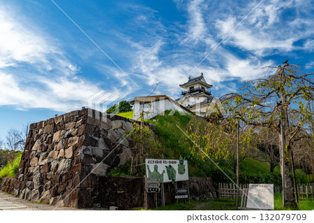 掛川城在藍天下閃耀 132079709