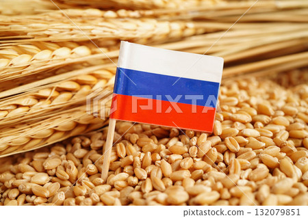 Russia flag on grain wheat, trade export and economy concept. Russia flag on grain wheat, trade export and economy concept. 132079851