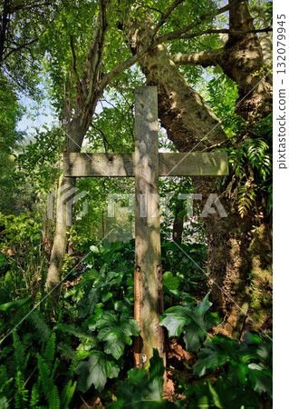 Shaded Wooden Cross Shaded Wooden Cross 132079945