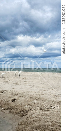 Three white egrets stand on the vast, empty, light-colored sand beach under a dark, cloudy sky.The fourth heron flies in the sky. Three white egrets stand on the vast, empty, light-colored sand beach under a dark, cloudy sky.The fourth heron flies in the sky. 132081082
