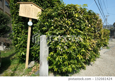 Dragonfly stone monument from the Uji Juyoshu Dragonfly stone monument from the Uji Juyoshu 132081424