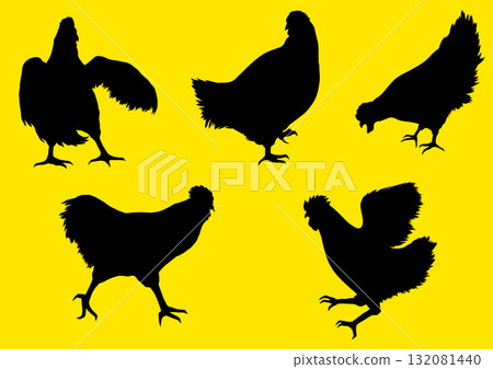 Chicken silhouette Chicken silhouette 132081440