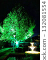Large illuminated tree 132081554