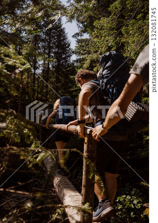 Green forest background with sunlight and trees Green forest background with sunlight and trees 132081745