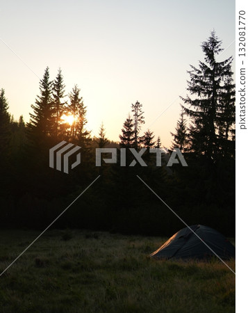 Green forest background with sunlight and trees 132081770