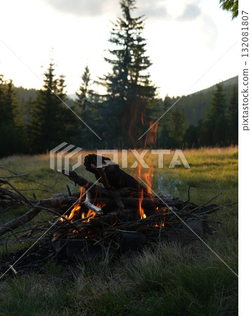 Green forest background with sunlight and trees Green forest background with sunlight and trees 132081807