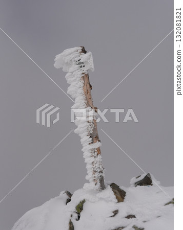 Winter forest scene with snow and trees 132081821