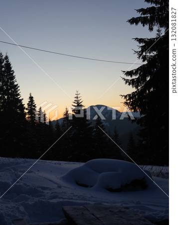 Winter forest scene with snow and trees 132081827
