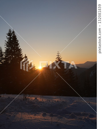 Winter forest scene with snow and trees Winter forest scene with snow and trees 132081839