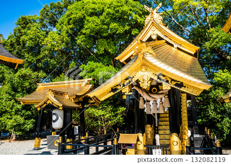Yatsushiro Ryuo Shrine [Yatsushiro City, Kumamoto Prefecture] 132082119