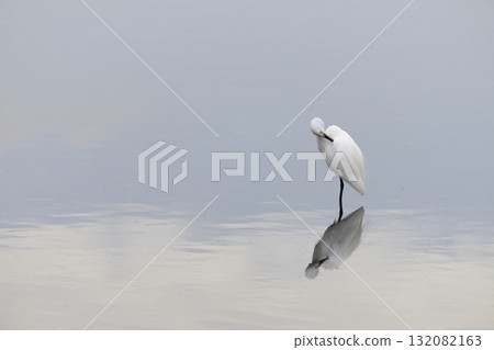 An egret resting on the lake surface An egret resting on the lake surface 132082163