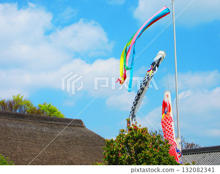都市農業公園（東京都足立區）一棟老房子前飄揚的鯉魚旗 132082341