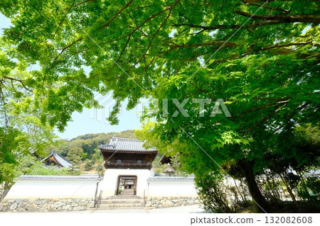 Fresh greenery at Koshoji Temple 132082608