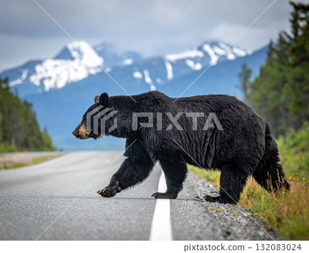 黑熊過馬路 132083024
