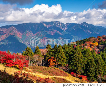 Autumn leaves and beautiful mountains 132083129