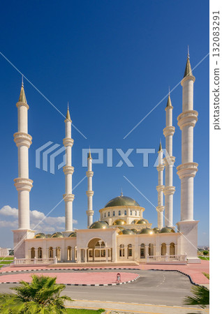 Iconic Hala Sultan Camii mosque Northern Cyprus travel shot 132083291