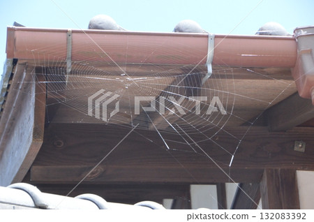 蜘蛛網（及紙村東秩父村 / 埼玉縣秩父郡東秩父村禦堂634） 132083392