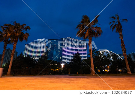Illuminated hotel at night in Batumi, Georgia. first line by the sea Illuminated hotel at night in Batumi, Georgia. first line by the sea 132084057