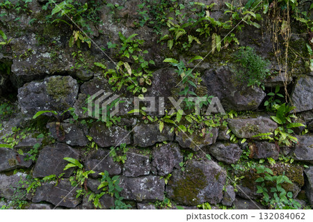 An old stone wall covered with moss and vines background. Stone wall background 132084062
