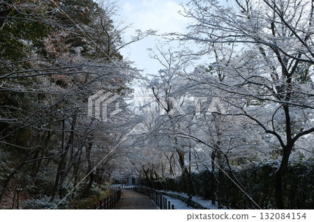青光明寺的雪 132084154