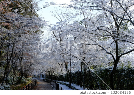青光明寺的雪 青光明寺的雪 132084156